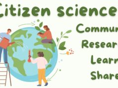 The Rise of Citizen Science: How the Public is Driving Research