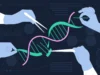 CRISPR and the Future of Gene Editing