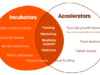 Incubator vs. Accelerator: What’s Best for You?